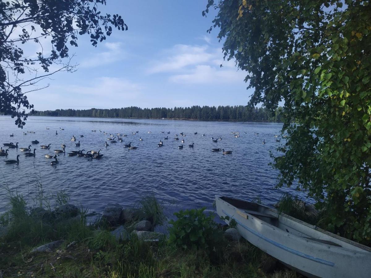 Polku Apartaments Virasoja Zewnętrze zdjęcie