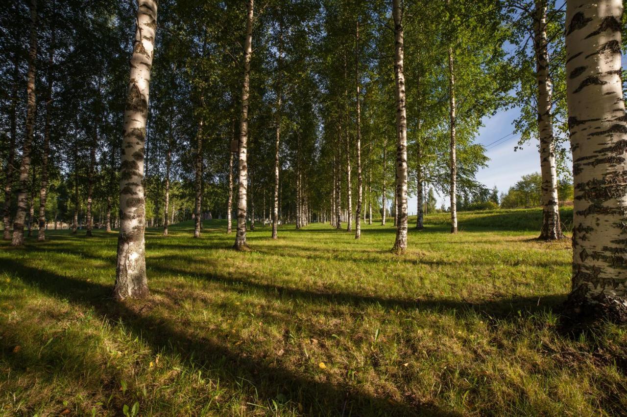 Polku Apartaments Virasoja Zewnętrze zdjęcie