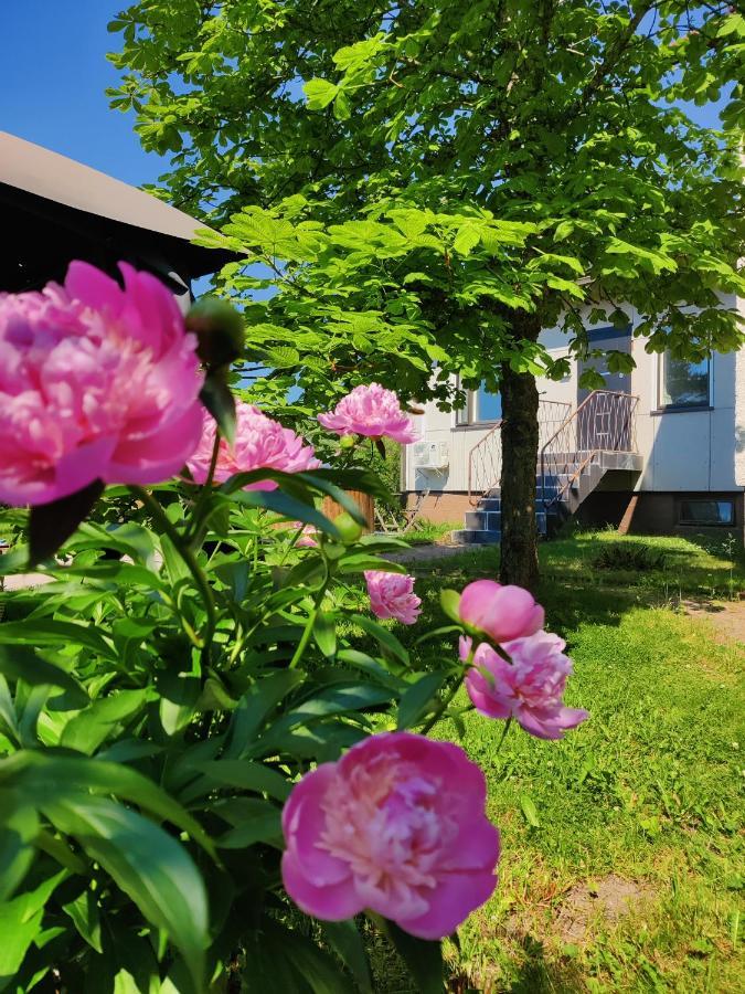 Polku Apartaments Virasoja Zewnętrze zdjęcie